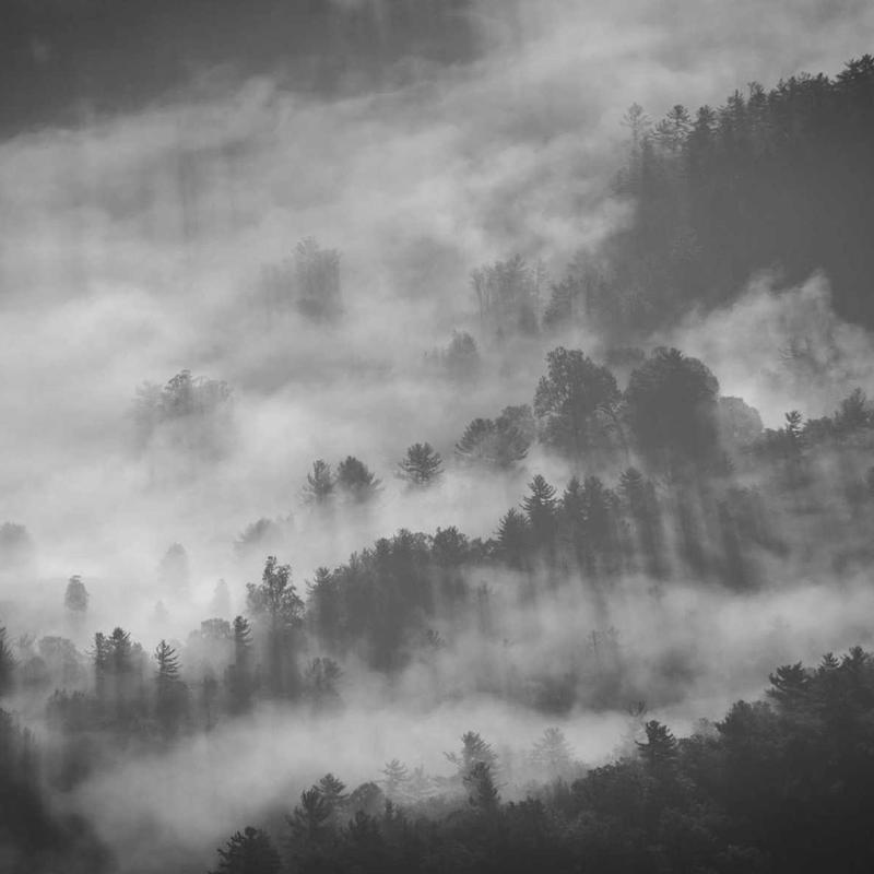 Baume a levres — vue 2