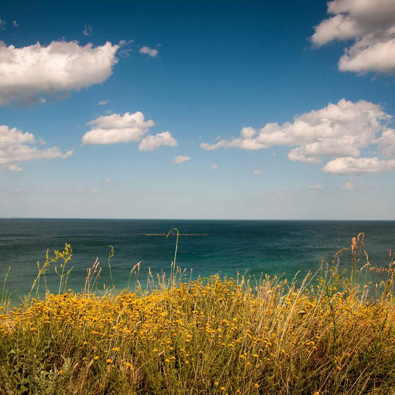 Tapis berbere #4 — vue 2