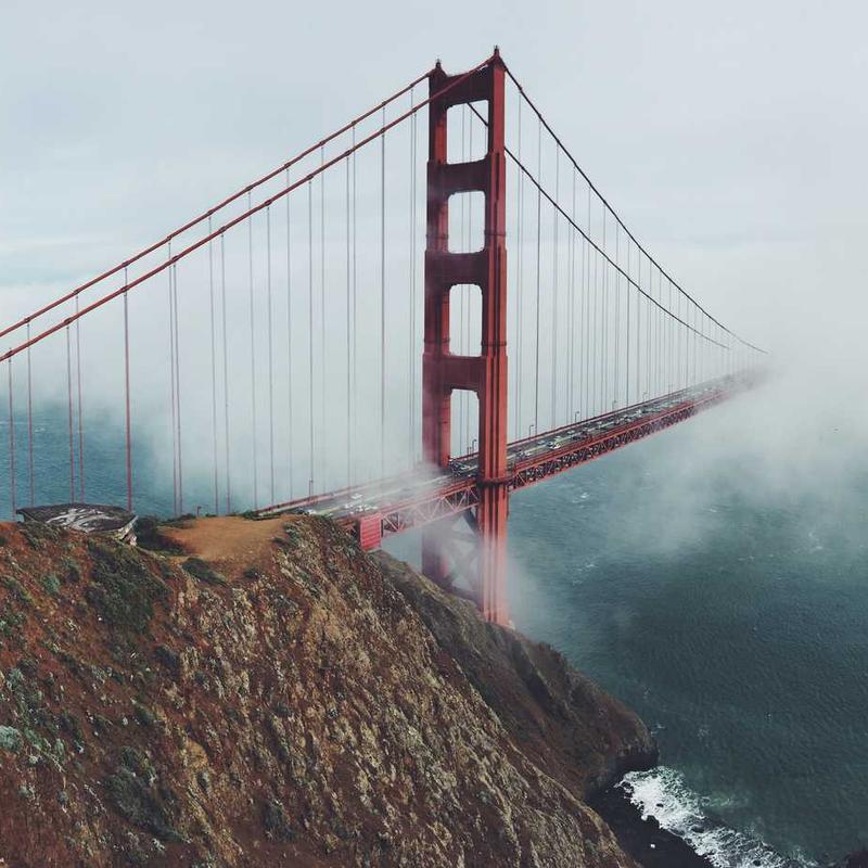 Griffoir chat #8 — vue 3