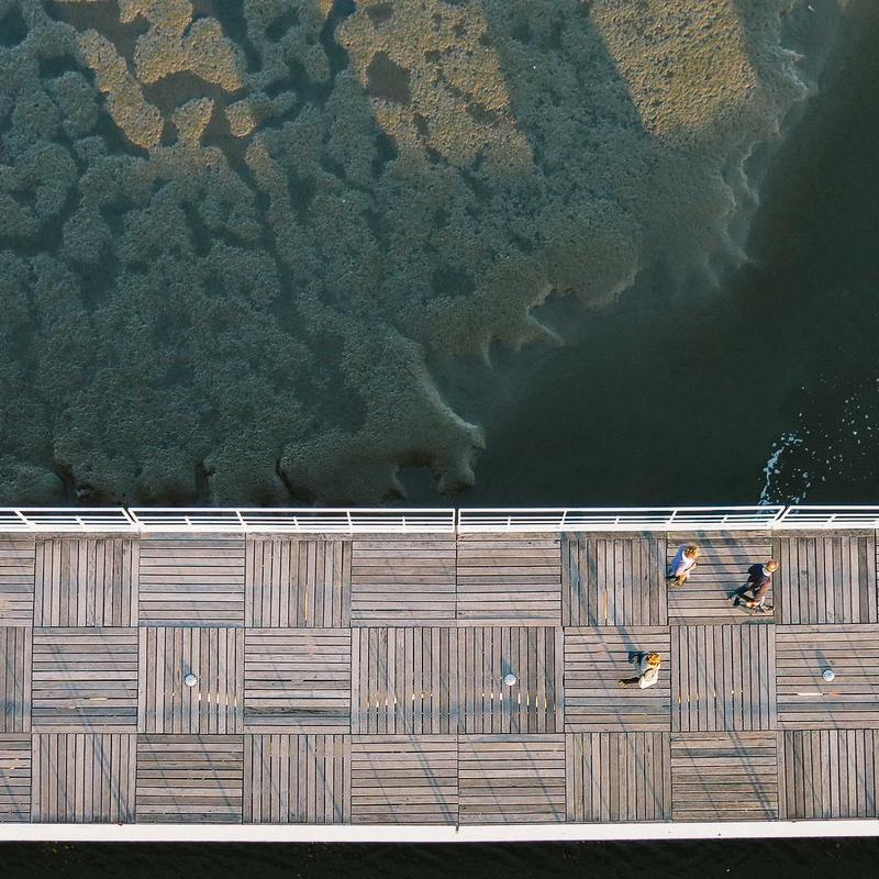 Masque de nuit #5 — vue 3