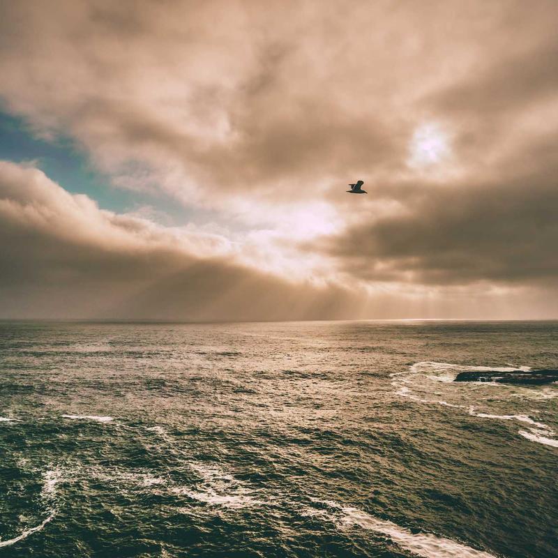 Dashiki traditionnel #5 — vue 3