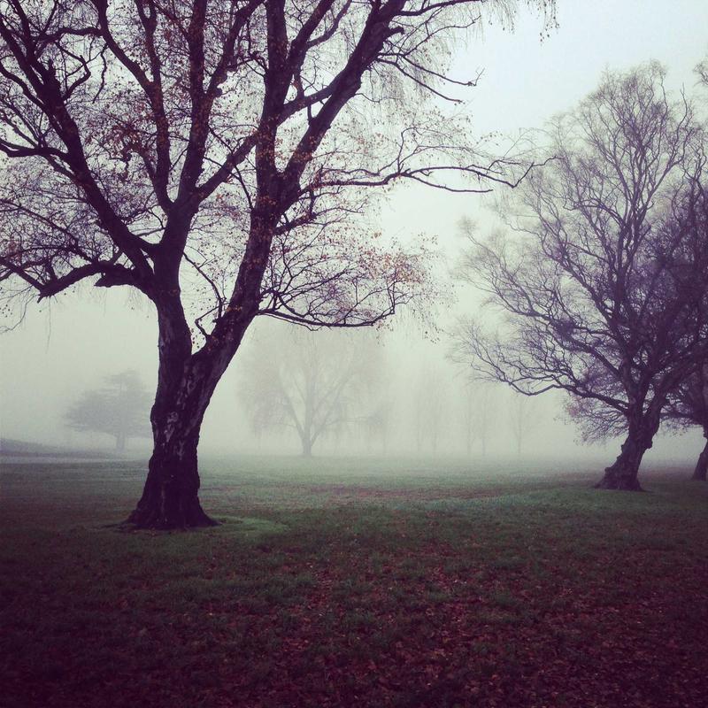 Rideau occultant #8 — vue 2