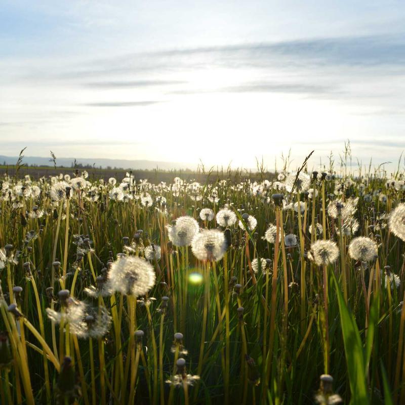 Lunettes de soleil #8 — vue 3