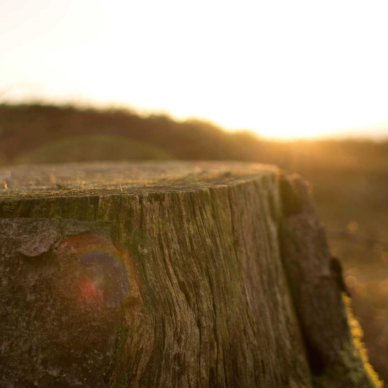 Boussole #7 — vue 3