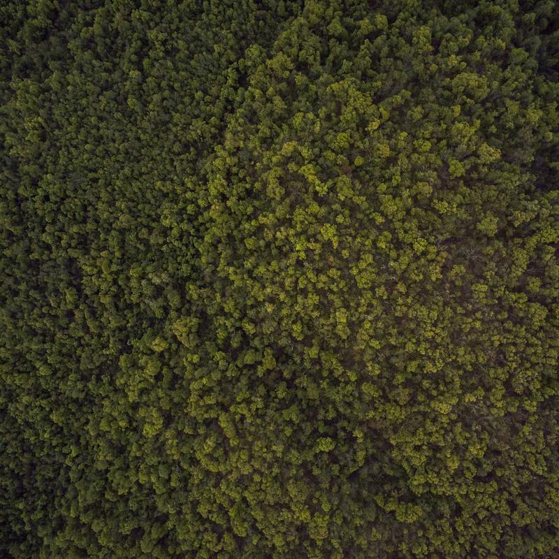 Adaptateur universel #4 — vue 3