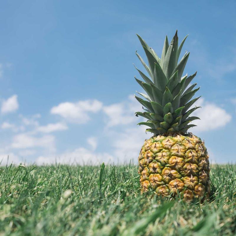 Raquette de badminton #6 — vue 2