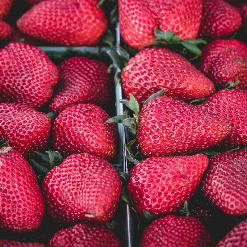 Cerf-volant #4 — vue 3