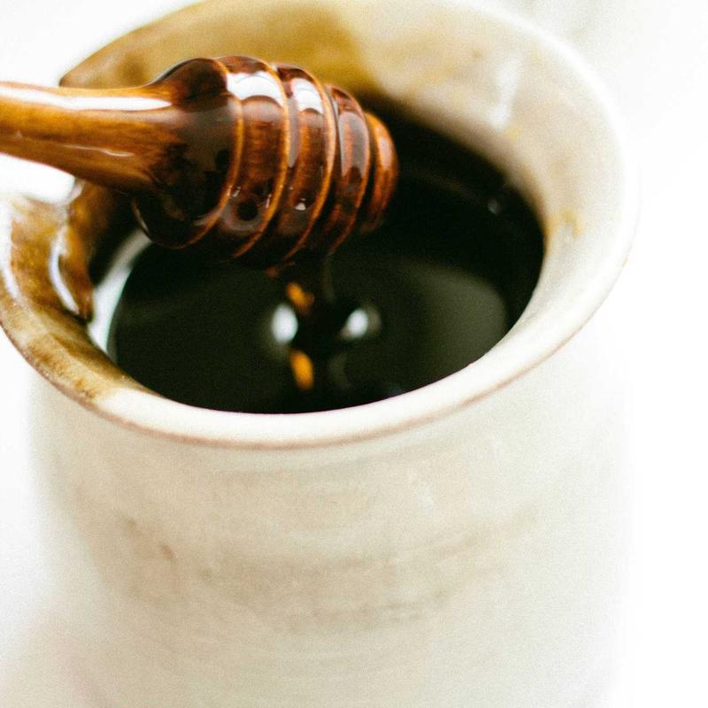 Griffoir chat #5 — vue 2