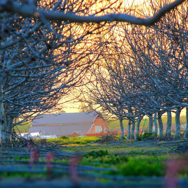 Serviettes eponge #5 — vue 3