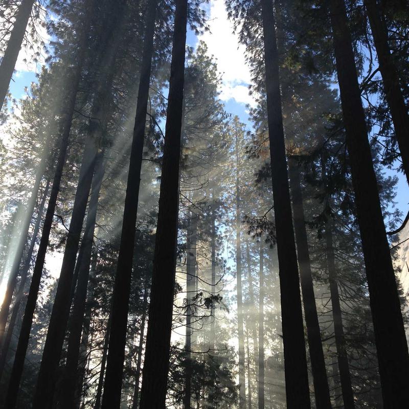 Atlas du monde #3 — vue 2