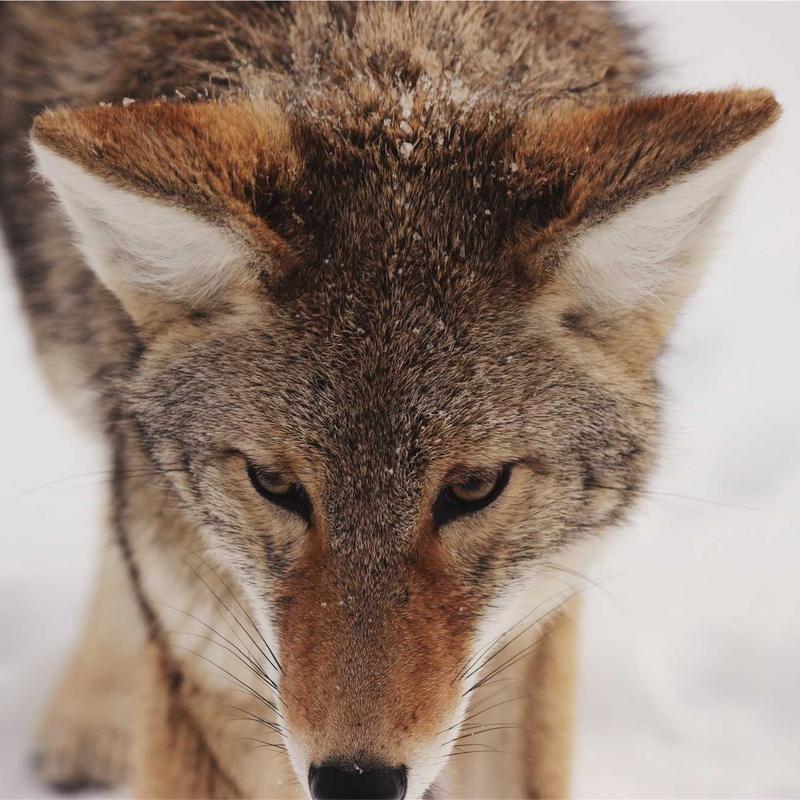 Enceinte Bluetooth portable #8 — vue 2